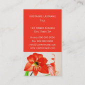 Red Amaryllis Blume Visitenkarte (Rückseite)