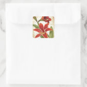Red Amaryllis Christmas Blume Botanical Quadratischer Aufkleber (Tasche)