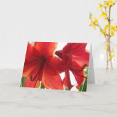 Red Amaryllis Close-Up Karte (Gelbe Blume)