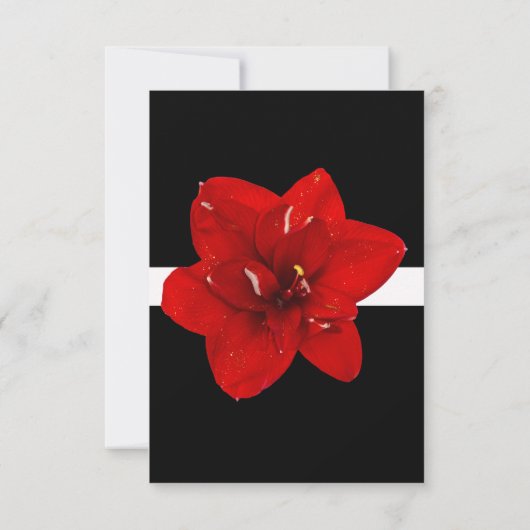 Red Amaryllis gold weded RSVP (Rückseite)