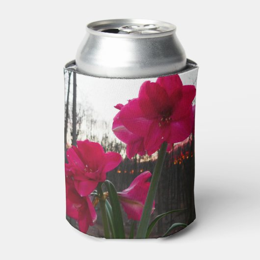 Red Amaryllis und Winter Sunrise Dosenkühler (Kanne Vorderseite)