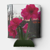 Red Amaryllis und Winter Sunrise Dosenkühler (Rückseite)