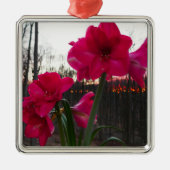 Red Amaryllis und Winter Sunrise Ornament Aus Metall (Vorne)
