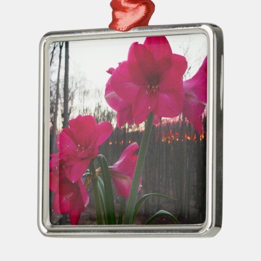 Red Amaryllis und Winter Sunrise Ornament Aus Metall (Links)