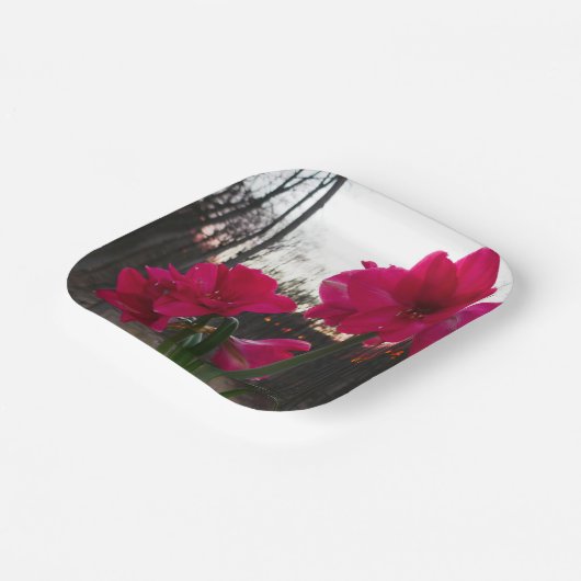 Red Amaryllis und Winter Sunrise Pappteller (Gewinkelt)