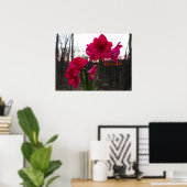 Red Amaryllis und Winter Sunrise Poster (Heimbüro)