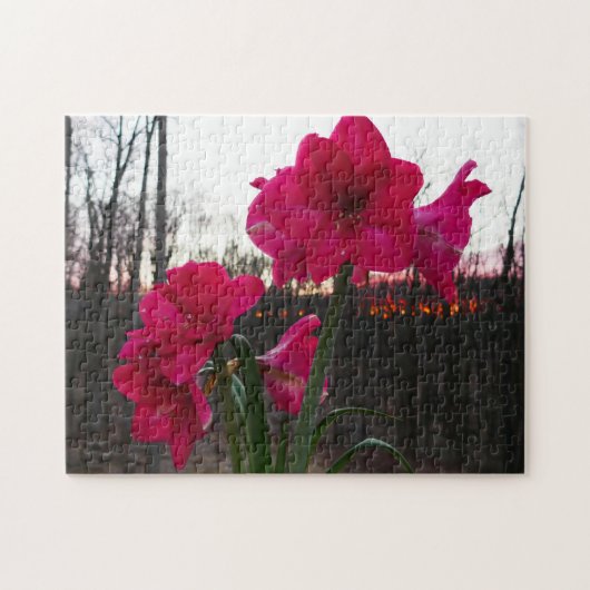 Red Amaryllis und Winter Sunrise Puzzle (Horizontal)