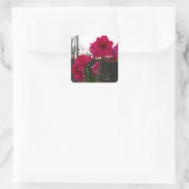 Red Amaryllis und Winter Sunrise Quadratischer Aufkleber (Tasche)