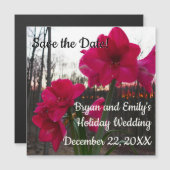 Red Amaryllis und Winter Sunrise Save the Date Magnetkarte (Vorne/Hinten)