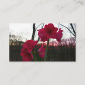 Red Amaryllis und Winter Sunrise Visitenkarte (Rückseite)