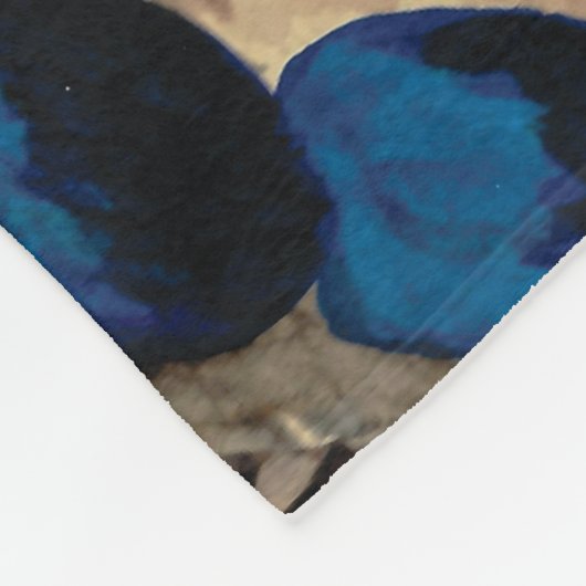 Red and Blue Crab Fleece Blanket (Ecke)