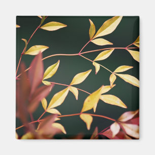 Red and Gold Magnet