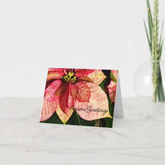 Red and Gold Poinsettia Card Feiertagskarte