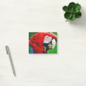 Red-and-green Macaw Post-it Klebezettel (Büro)