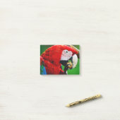 Red-and-green Macaw Post-it Klebezettel (Auf Schreibtisch)
