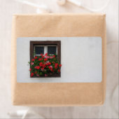 Red And Pink Pelargonium (Insitu)