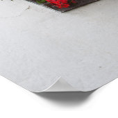 Red And Pink Pelargonium Poster (Ecke)