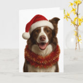 Red and white Border Collie Christmas card Karte (Gelbe Blume)
