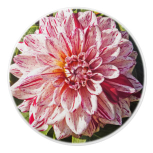 RED AND WHITE DAHLIA KERAMIKKNAUF