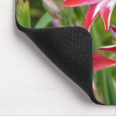 Red and White Gladiolas Summer Garden Mousepad (Ecke)