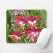 Red and White Gladiolas Summer Garden Mousepad (Mit Mouse)