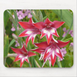 Red and White Gladiolas Summer Garden Mousepad
