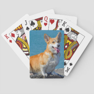 Red and White Pembroke Welsh Corgi Puppy Dog Spielkarten