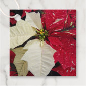 Red and White Variegate Poinsettia Holiday Geschenkanhänger (Vorderseite)