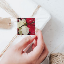 Red and White Variegate Poinsettia Holiday Geschenkanhänger