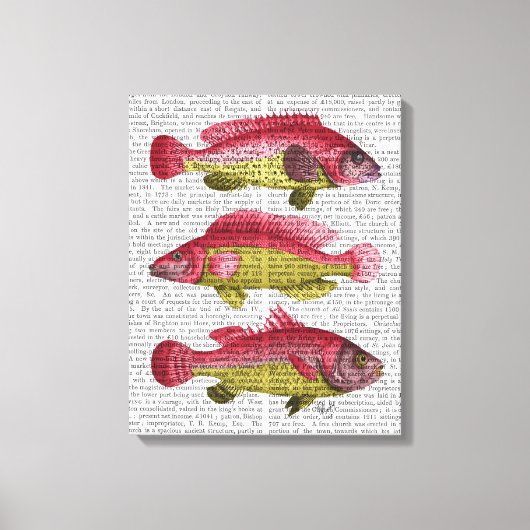 Red and Yellow Fantasy Fish Trio Leinwanddruck (Vorderseite)