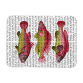 Red and Yellow Fantasy Fish Trio Magnet (Horizontal)