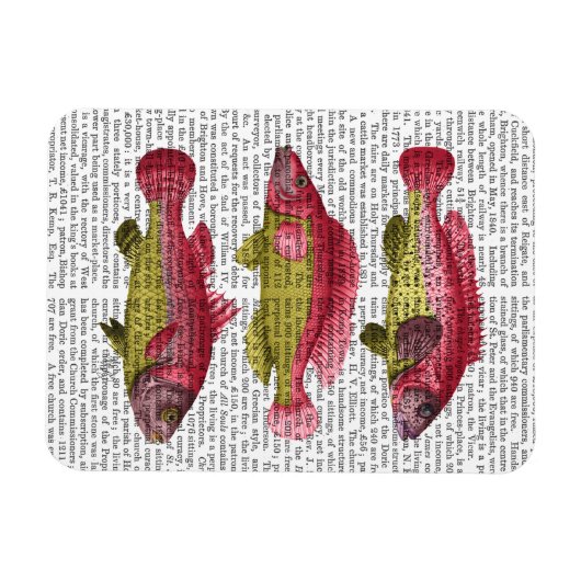 Red and Yellow Fantasy Fish Trio Magnet (Horizontal)