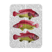 Red and Yellow Fantasy Fish Trio Magnet (Vertikal)