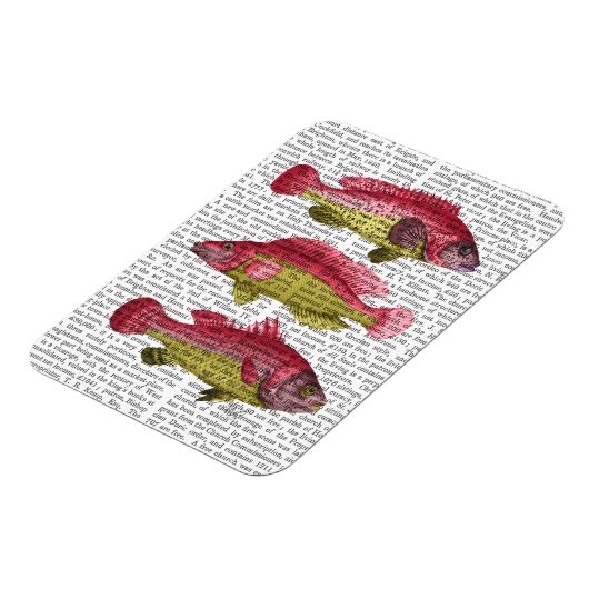 Red and Yellow Fantasy Fish Trio Magnet (Linke Seite)