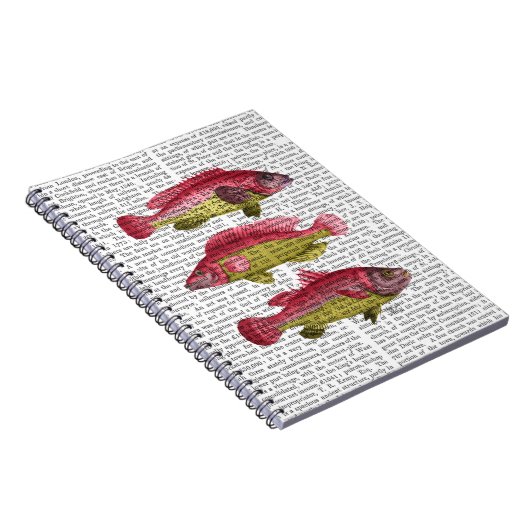 Red and Yellow Fantasy Fish Trio Notizblock (Rechte Seite)