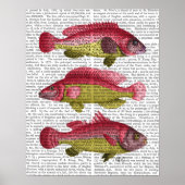Red and Yellow Fantasy Fish Trio Poster (Vorne)