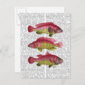 Red and Yellow Fantasy Fish Trio Postkarte (Vorne/Hinten)
