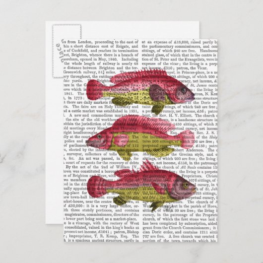 Red and Yellow Fantasy Fish Trio Postkarte (Vorne/Hinten)
