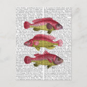 Red and Yellow Fantasy Fish Trio Postkarte (Vorderseite)