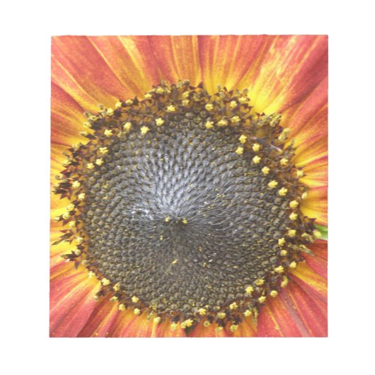 Red and Yellow Sunflower Notepad Notizblock (Vorderseite)