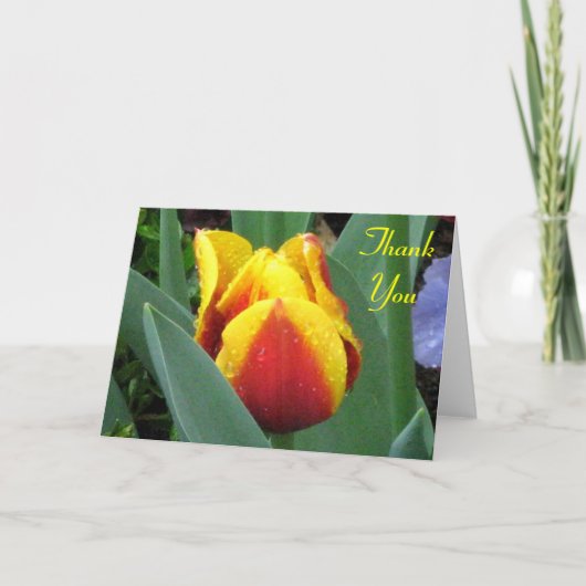 red and yellow tulip thank you note card dankeskarte (Vorderseite)