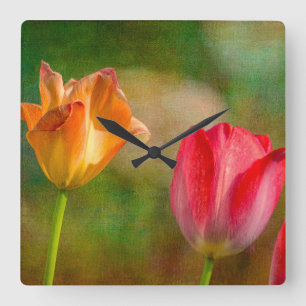 Red and yellow tulips on textured background quadratische wanduhr
