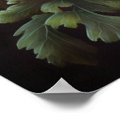 Red Anemone Blume Art Print Poster (Ecke)