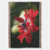 Red Anemone Blume Decke (Vorderseite Vertikal)