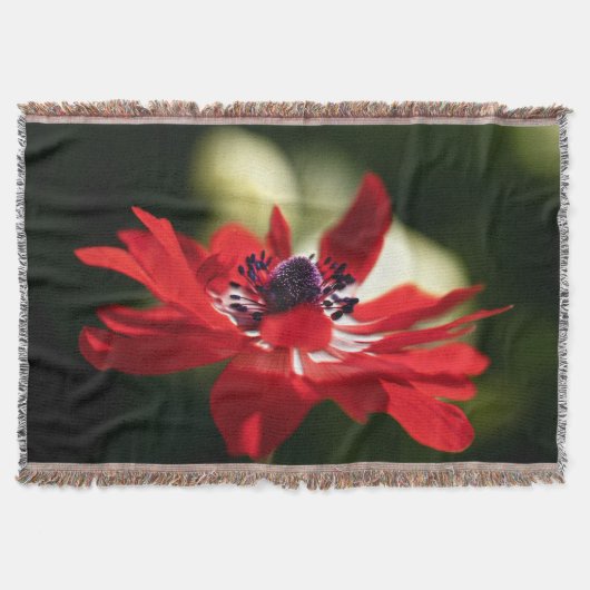 Red Anemone Blume Decke (Vorderseite)