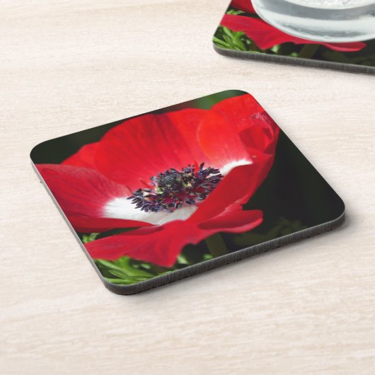 Red Anemone.JPG Getränkeuntersetzer (Linke Seite)