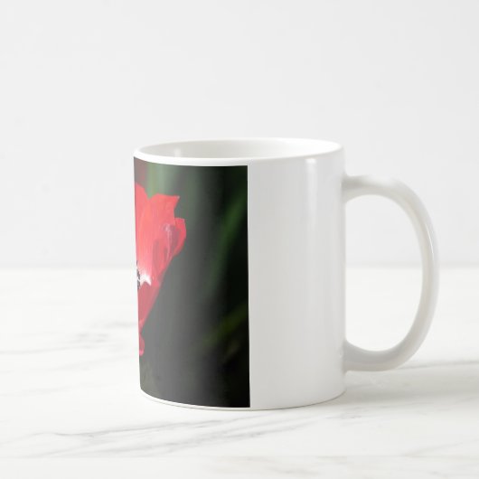 Red Anemone.JPG Kaffeetasse (Rechts)