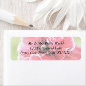 Red Angel's Choir Poppy (Insitu)