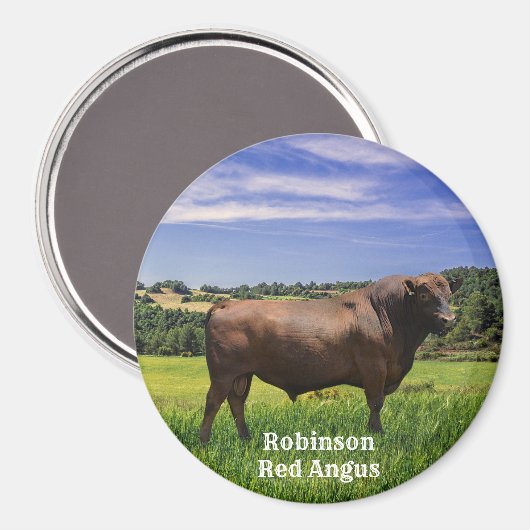 Red Angus Bull Magnet (Vorderseite/Rückseite)