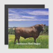 Red Angus Bull  Magnetkarte (Vorne/Hinten)
